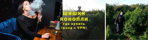 spice Аркадак