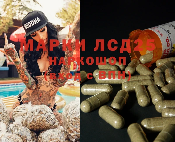 spice Аркадак
