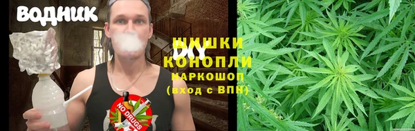 spice Аркадак