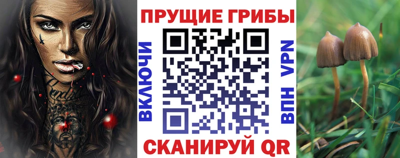Галлюциногенные грибы Psilocybe  Мензелинск 